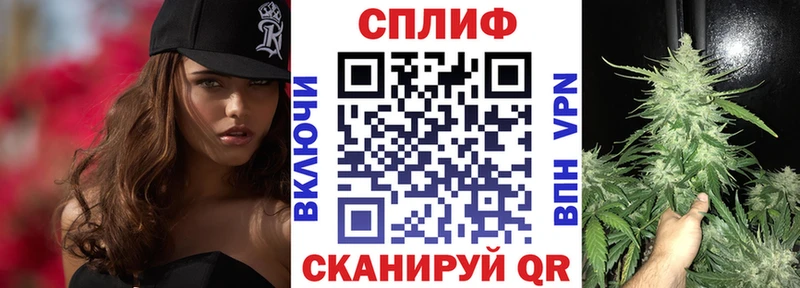Конопля гибрид  купить   Ильский 